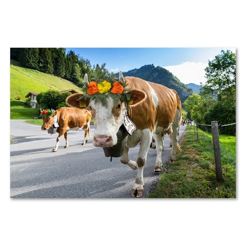Postereck 3849 poster - postereck,