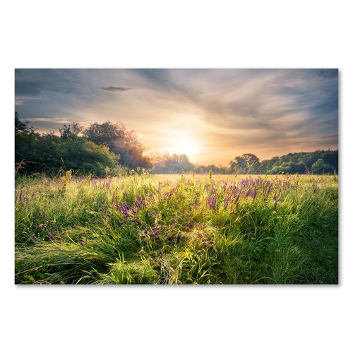 Postereck 2942 poster - 2942,