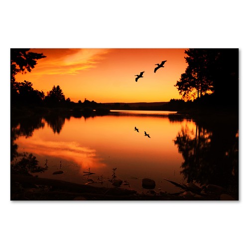 Postereck 1454 poster leinwand - 1454,