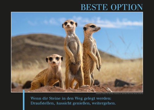 Beste option motivation poster - beste,