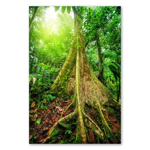 Postereck 1325 poster leinwand - postereck,