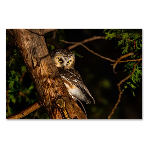 Postereck 3361 poster leinwand - postereck,