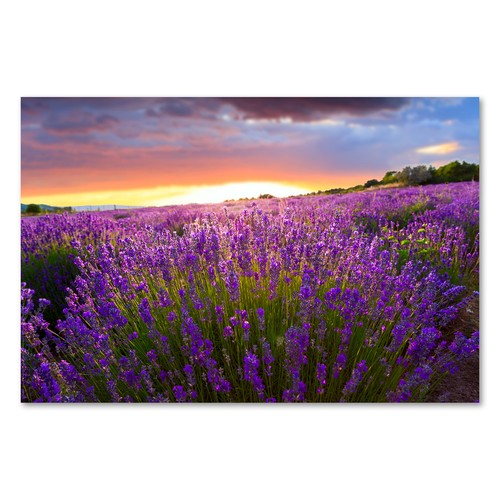Postereck 0545 poster leinwand - 0545,